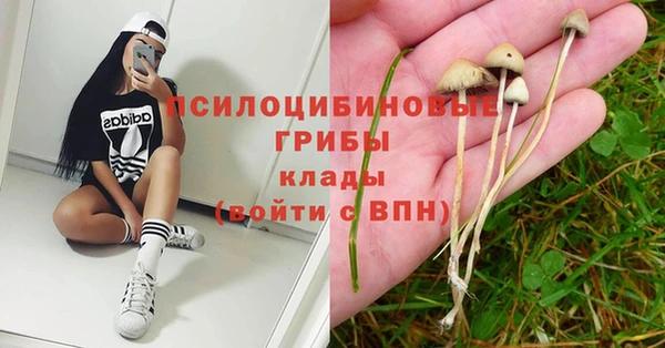 эйфоретик Володарск